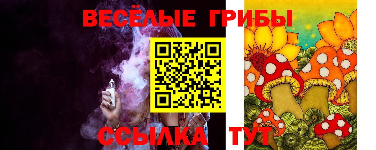 Псилоцибиновые грибы Cubensis Мурино
